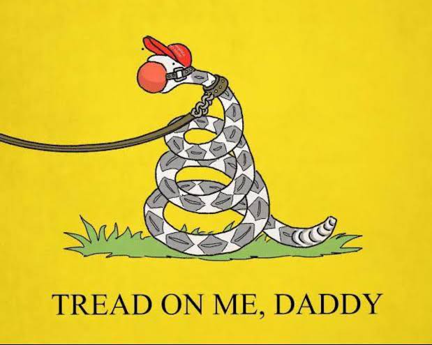 DerekThaTruman's tweet photo. Where are all the "alphas" now that our Federal gov't is fucking insane? Not so tough now are ya? https://t.co/BDXem5dRcX