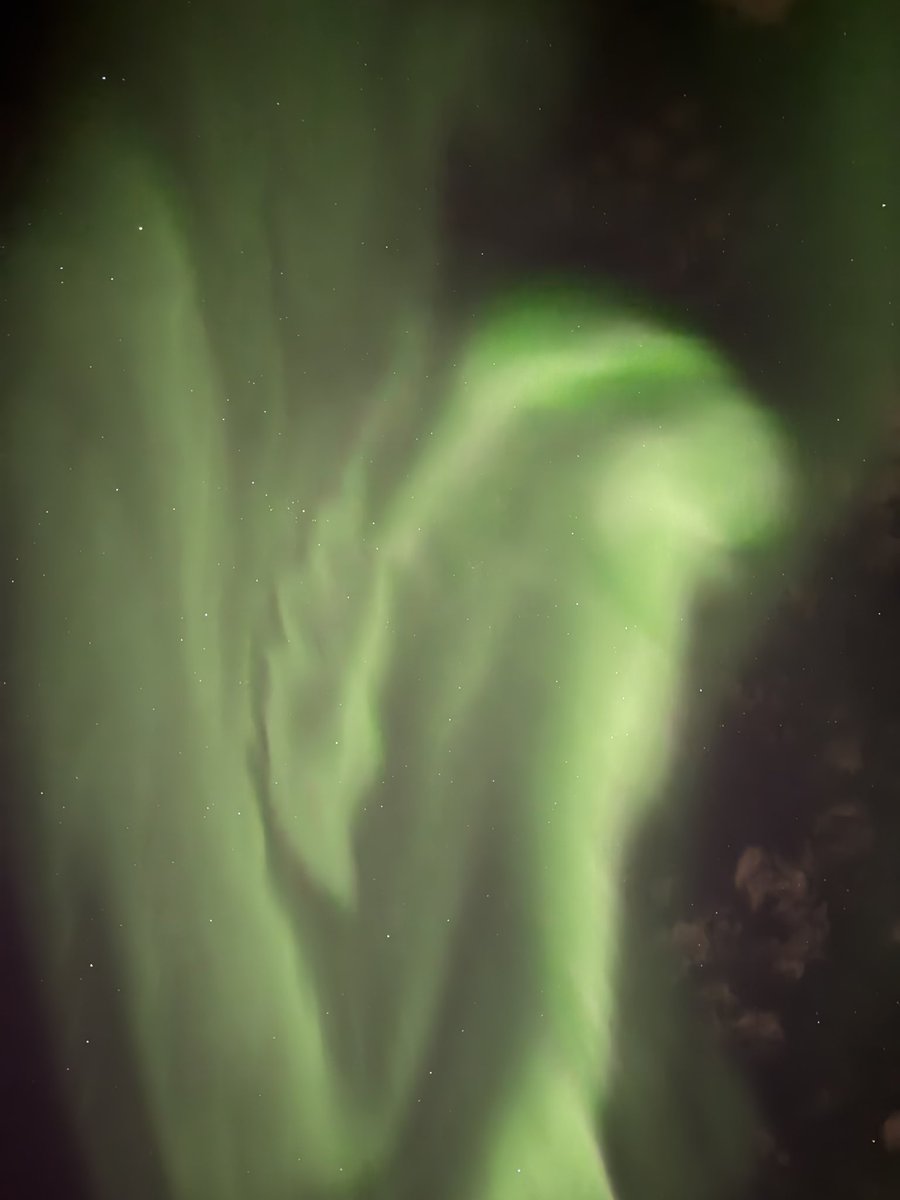 lauren⁷ tweet media