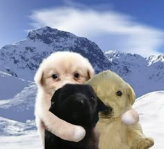 Lo que hago con el kim y azu