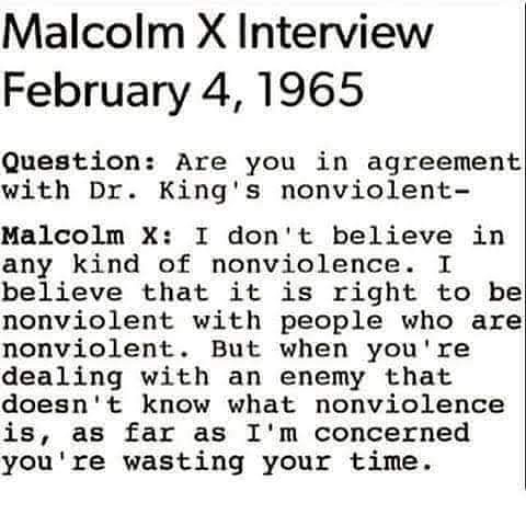 leigh_fall's tweet image. 