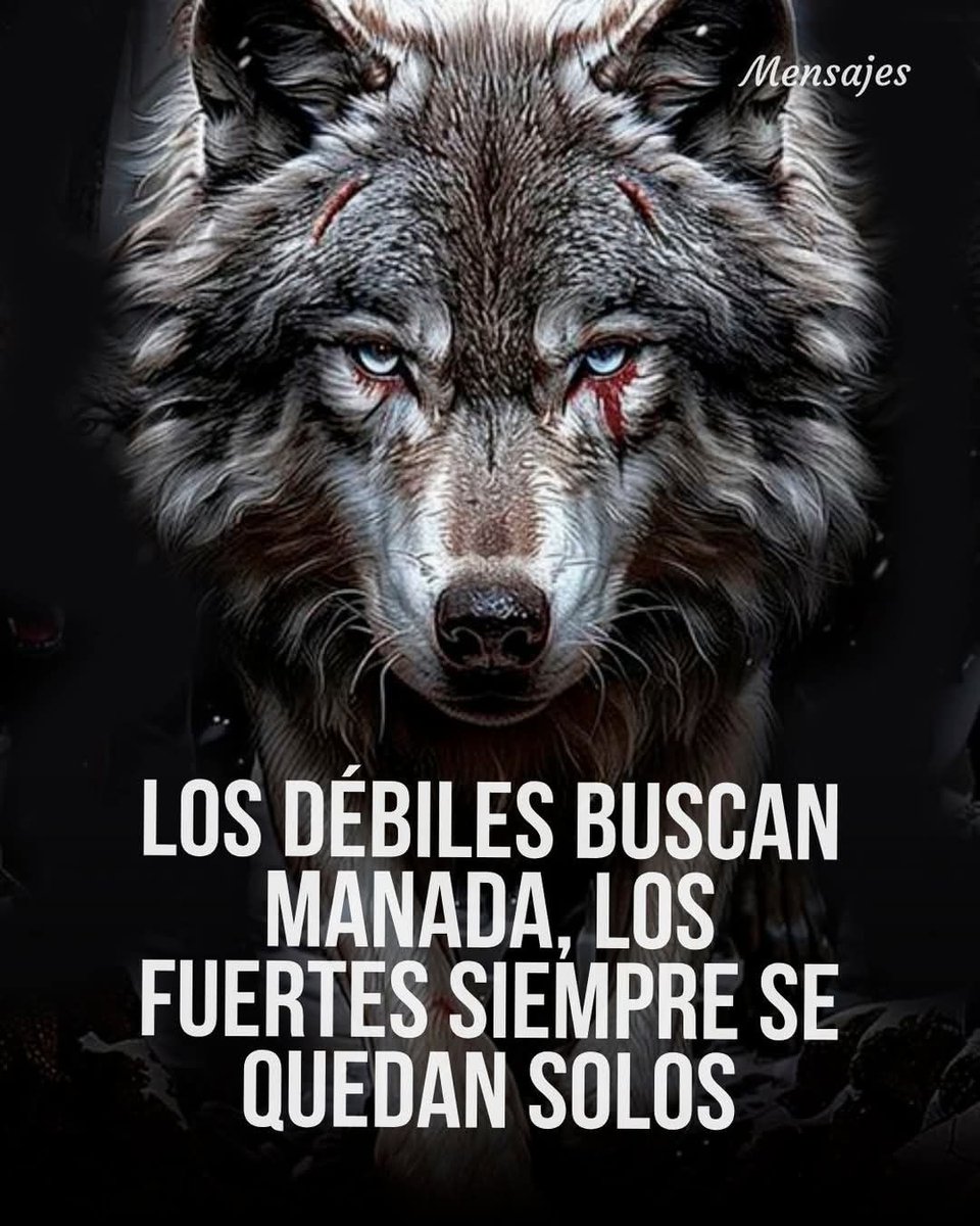 Vive con Propósito. (@propositoyvida) on Twitter photo 