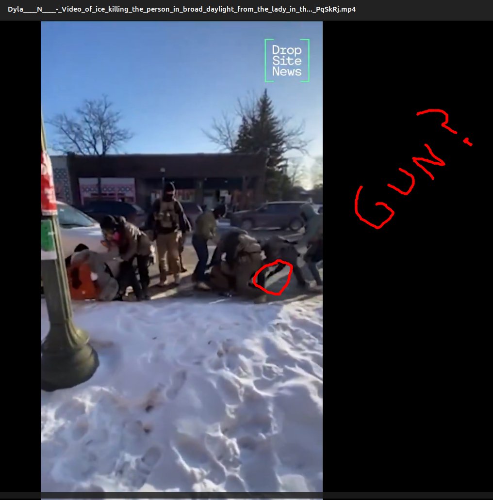 🦁🐒🗽 tweet media