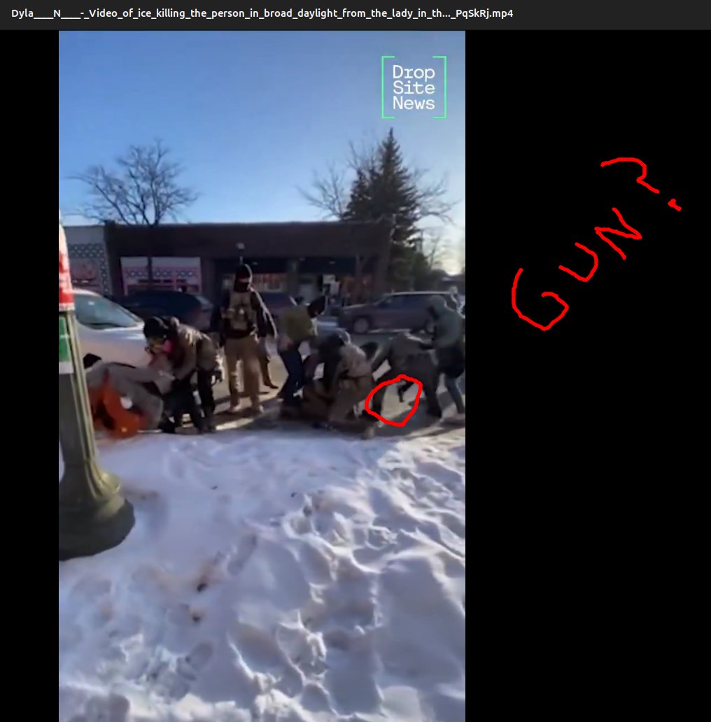 🦁🐒🗽 tweet media