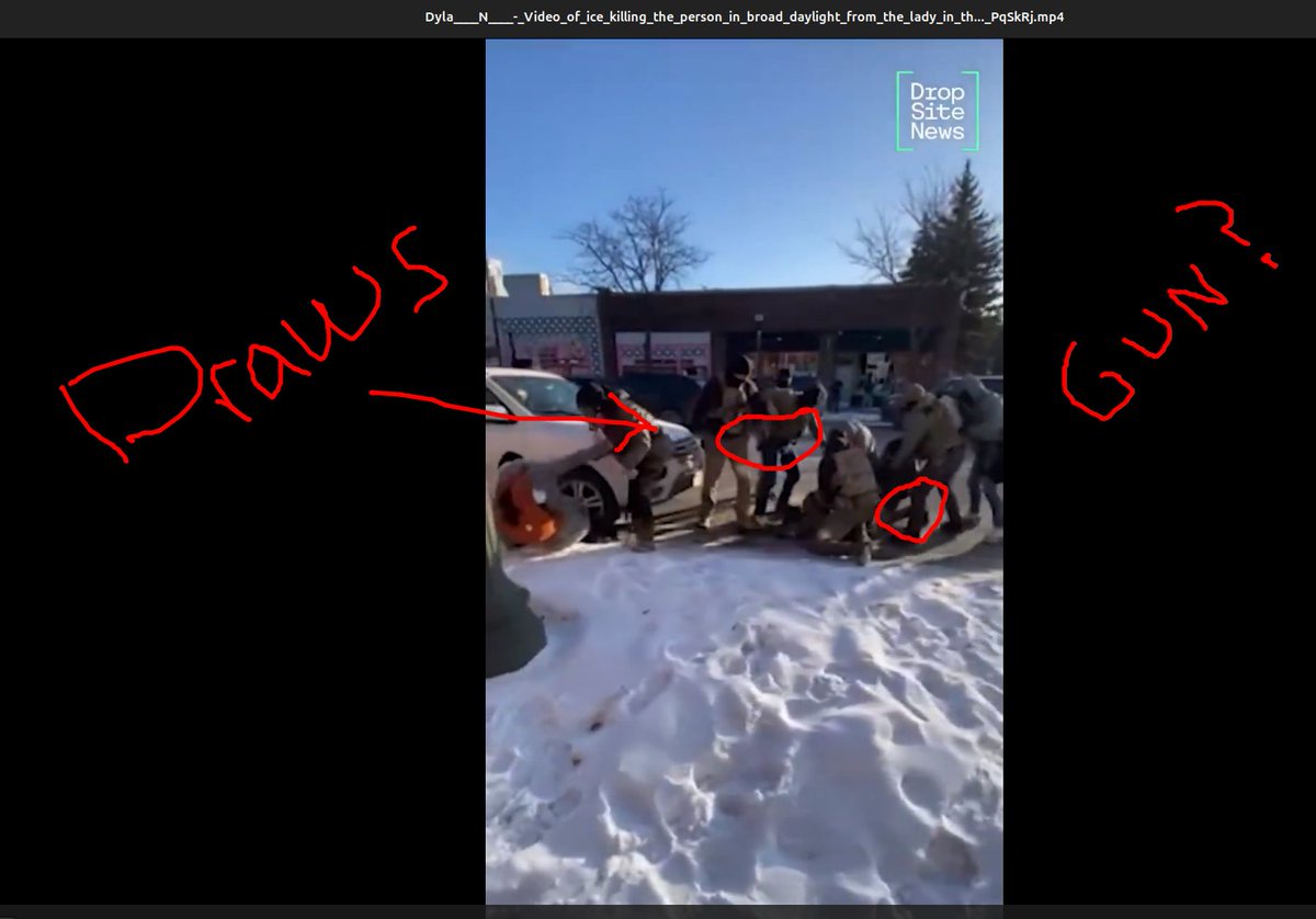 🦁🐒🗽 tweet media