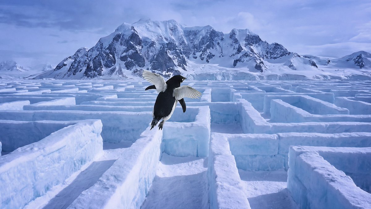 "But why?"

Again, weRISE