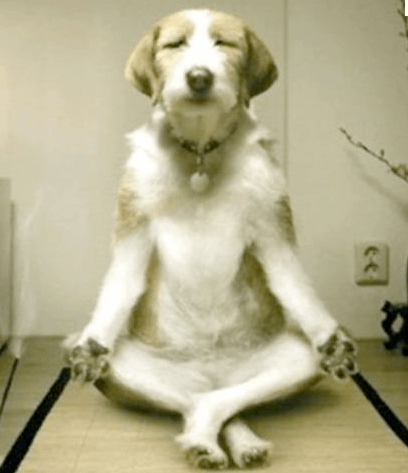 Cameron !! tweet media