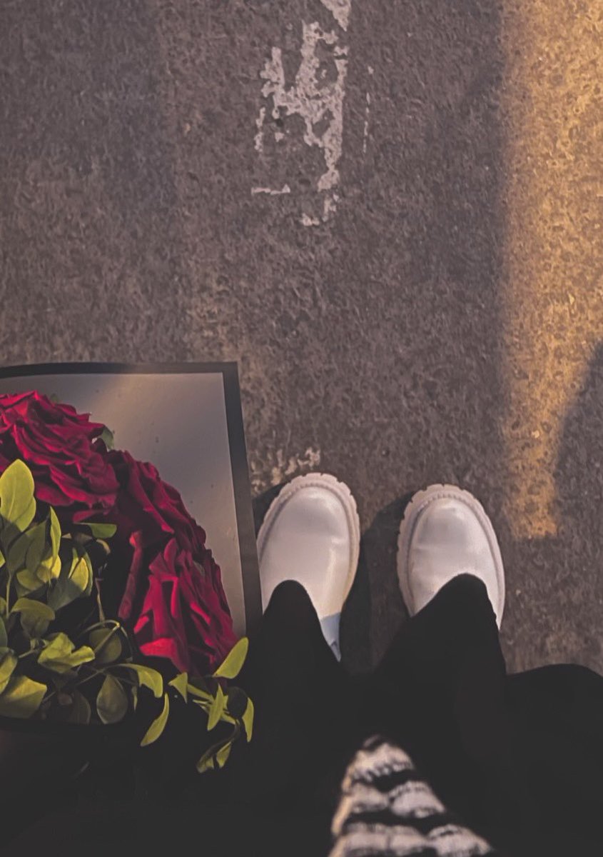 🌹📷