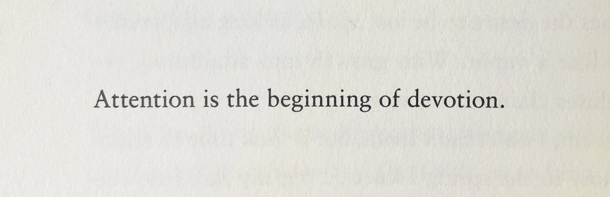Mary Oliver:

“La atención es el principio de la devoción”.