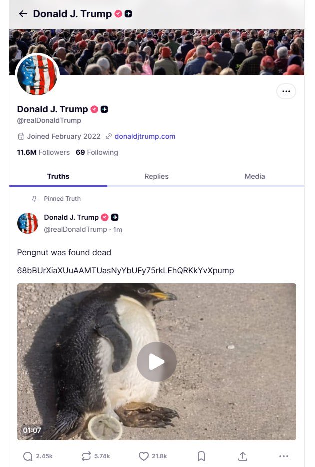 BeatMan390305's tweet image. 68bBUrXiaXUuAAMTUasNyYbUFy75rkLEhQRKkYvXpump

Bro, TRUMPY IN DA GAME