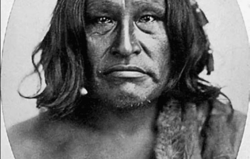 <a href="/indignadoxd/">INDIGNADO</a> Murguero promedio