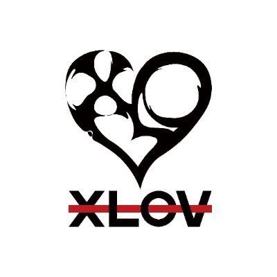mutiscuntybob's tweet image. BREAKING: Zohran Mamdani will FORCE all New Yorkers to stan genderless K-pop group, XLOV.

What are your thoughts on this?