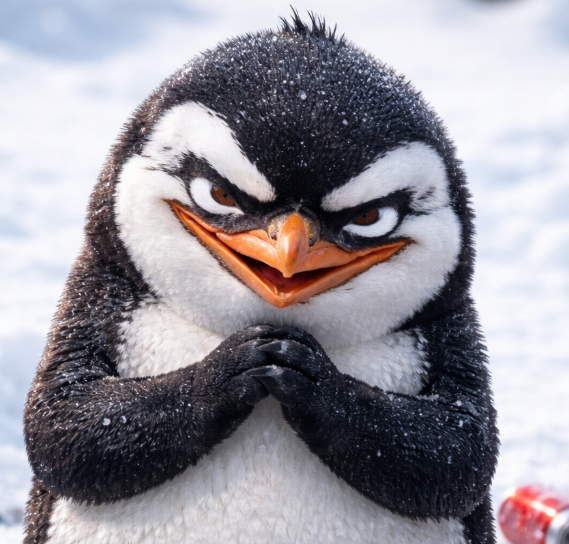 PengHaus tweet media