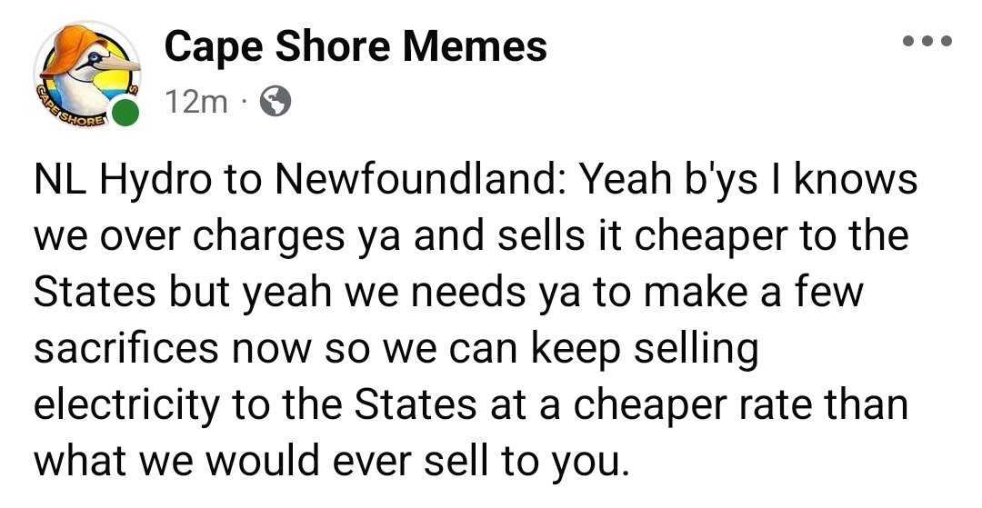 Cape Shore Memes tweet media