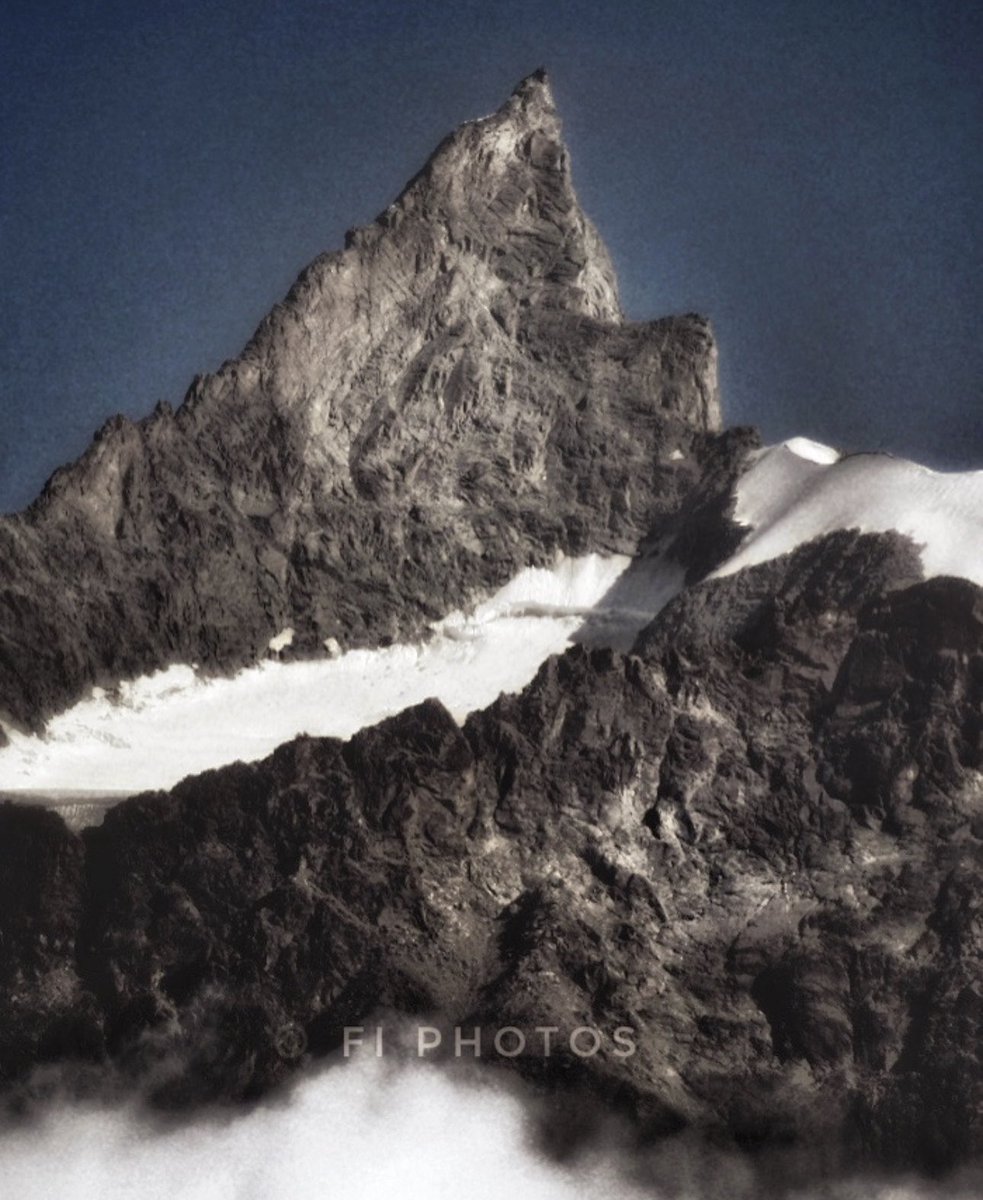 Fi Photos tweet media