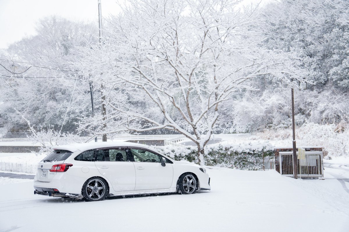 _chabi_'s tweet photo. #SUBARUと雪遊び

雪の中で踏める度胸は持ち合わせていません🤗 https://t.co/NVegHsv4m1
