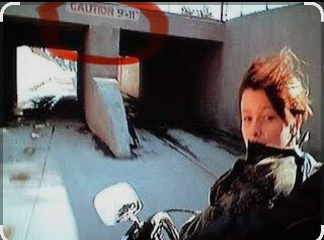 "Matrix" 1999 
"Terminator 2" 1991
Son sólo coincidencias... 🤡🤡