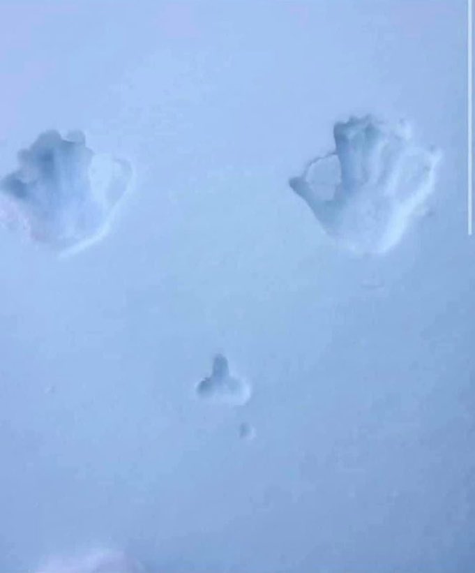 ฿₳₮₮ⱠɆ ฿ɎⱤĐ tweet media