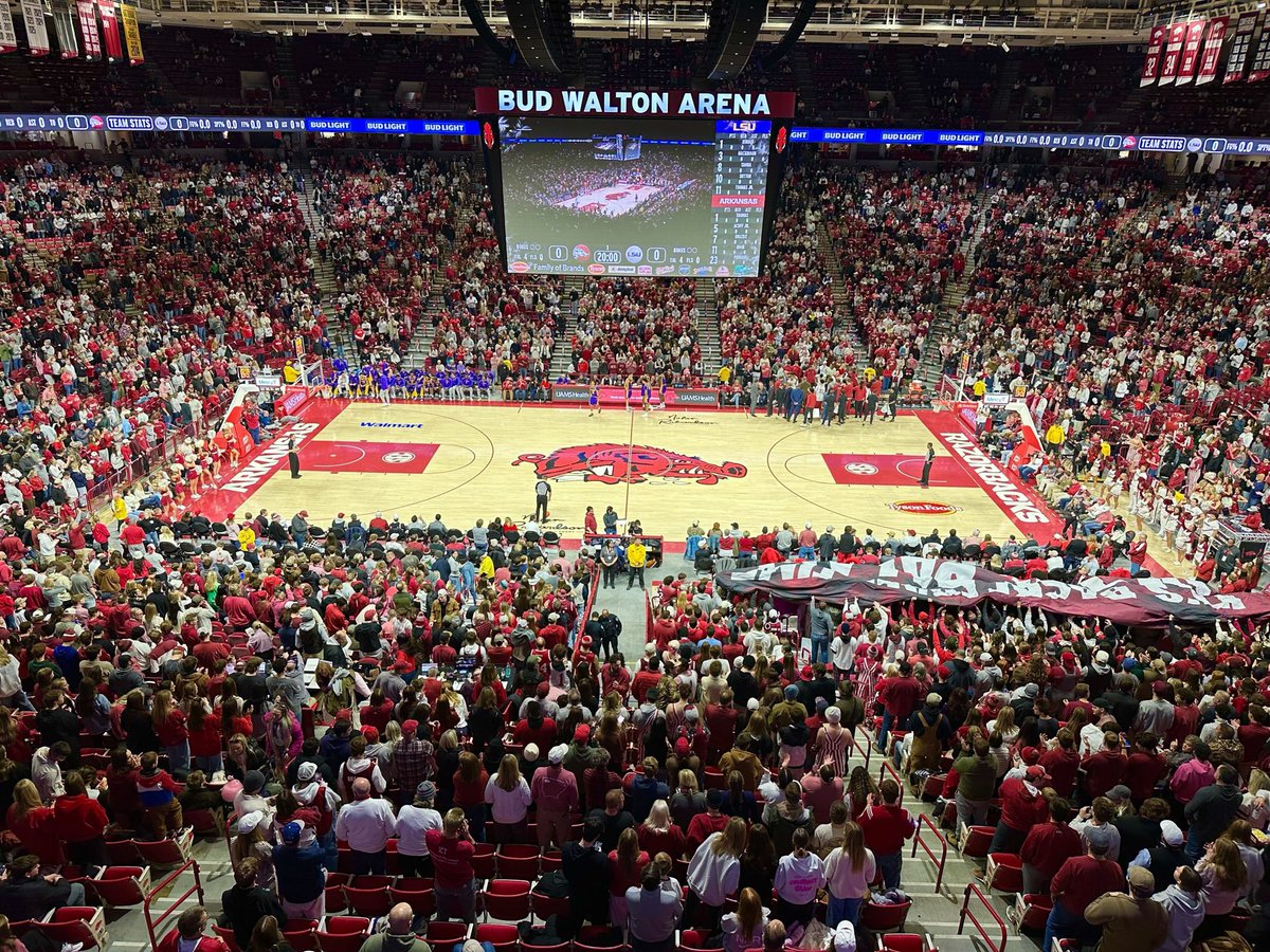 HogsPlus's tweet image. Snowy Saturday ❄️