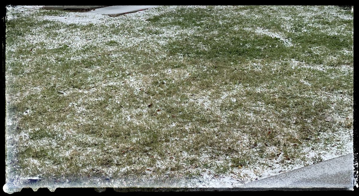 DushiYanthini tweet media