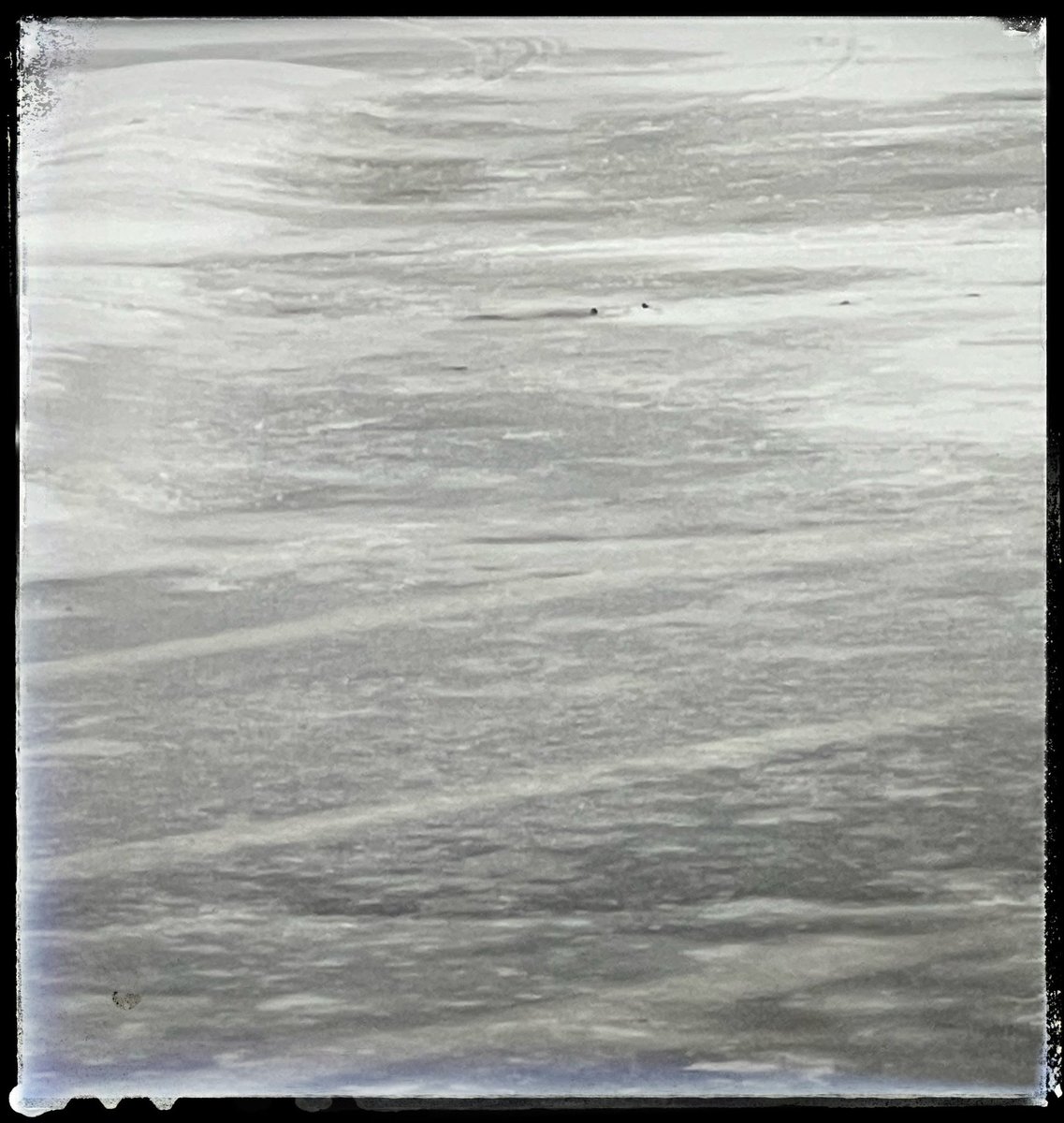 DushiYanthini tweet media