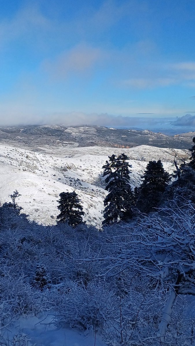 Vista a la cara norte de la Sierra de las Nieves esta mañana (24/01/26) 🏔
#Malaga #nieve