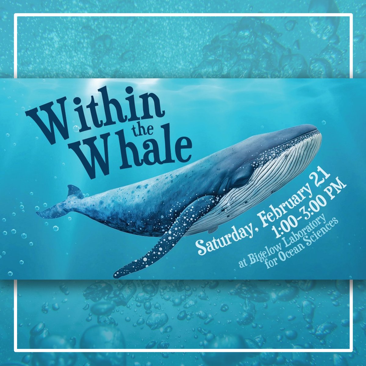 Bigelow Laboratory tweet media