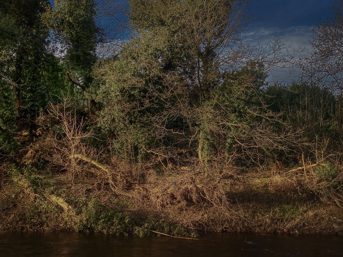 NOT QUITE LIGHT - NQL tweet media