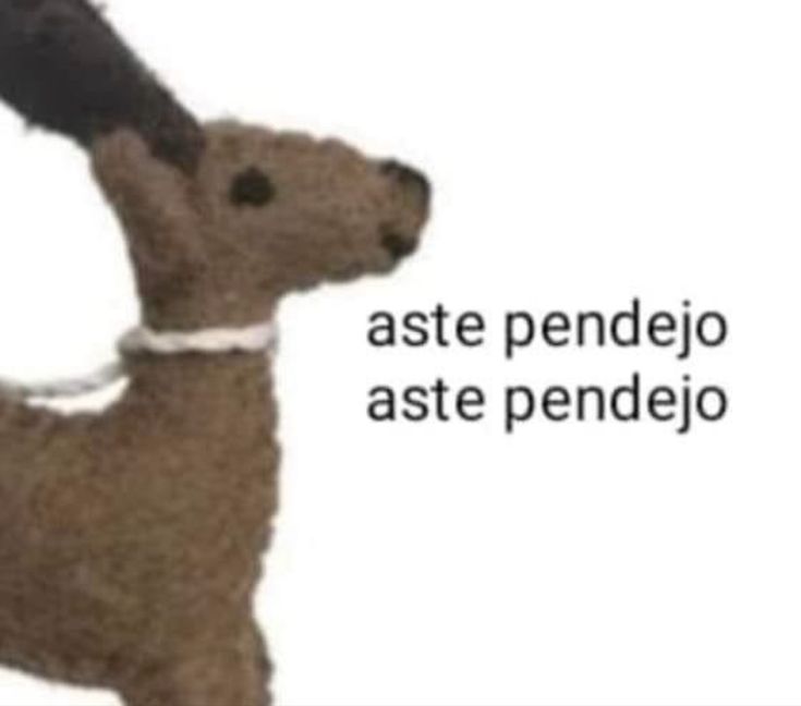 JAJAJAJA PUTOS HIPÓCRITAS