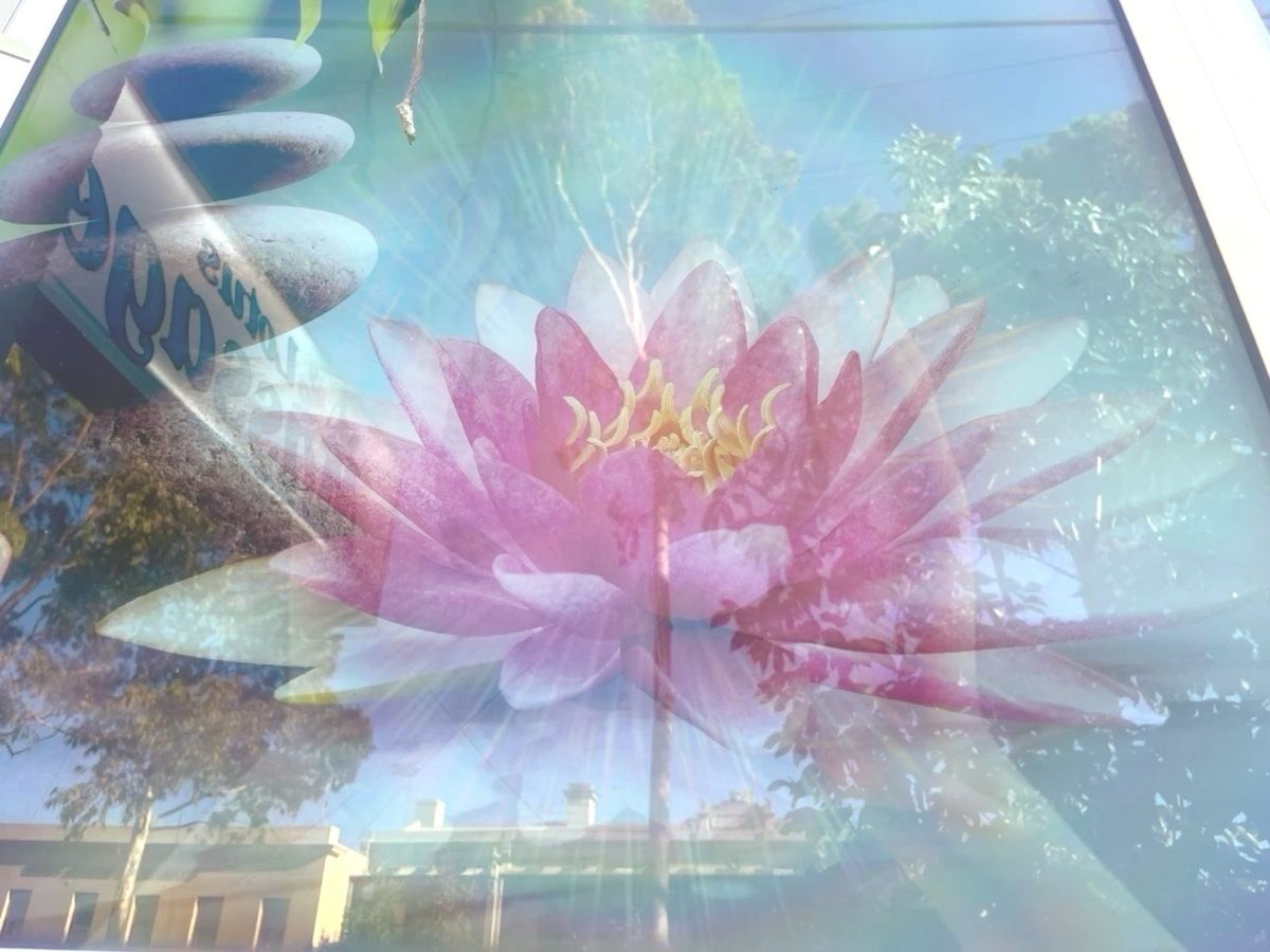 1coolgirlie's tweet image. 𓂃💧ྀ◌𓈒 ๑۫۫๑۪ ႚུ ུ🪷⃝ྀི͜🤲🏻ͣ ͣ𓈒༚ ༅ ༚˳