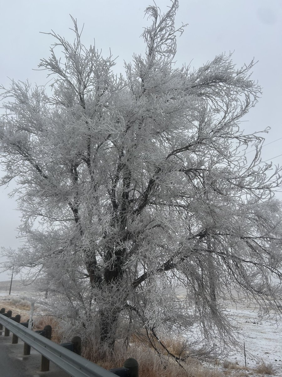 Not too often we get a wintry mix in the Big Bend, I kinda like it though.