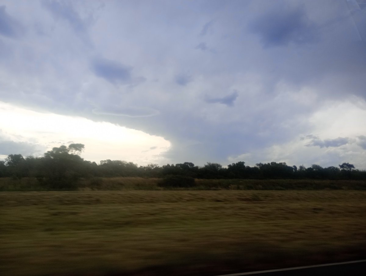 Cómo extrañaba estos pastos, los cultivos de girasol y las vacas pastando. Mañana llegaré de vuelta a Tucumán, está un poco inundado, espero no tener problemas