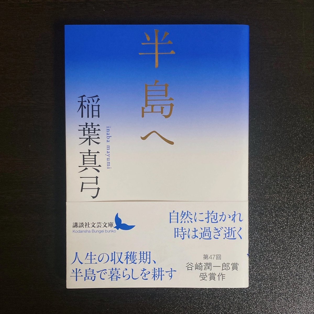 日常に命を吹き込むような文章で素晴らしかった。まるで景色を読んでいるよう。一見穏やかだが穏やかではない、微細な描写がよかった。

講談社文芸文庫『半島へ』稲葉真弓