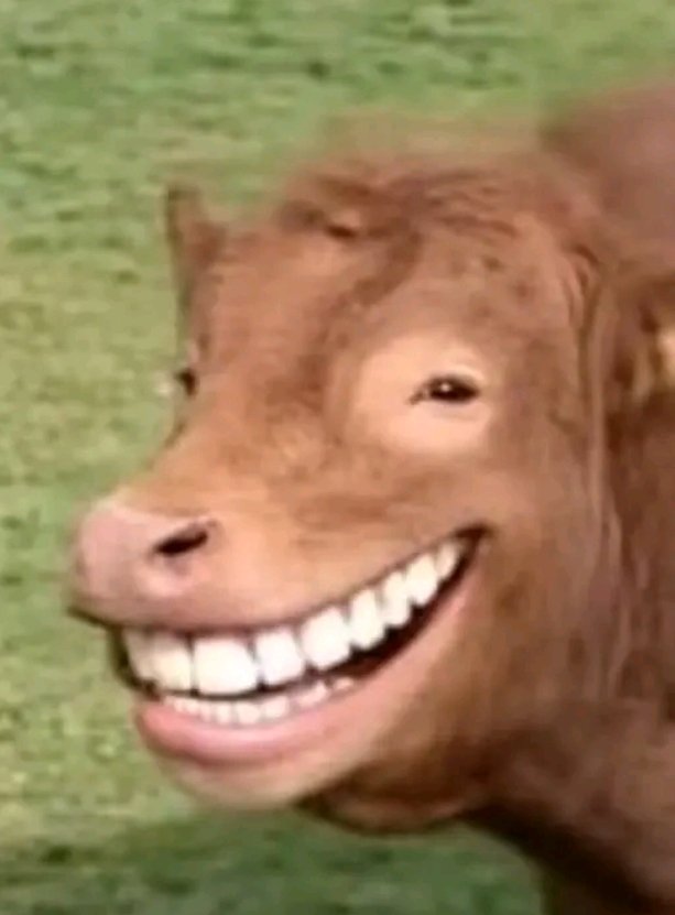 Falray Frost tweet media