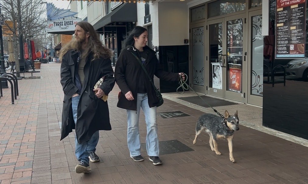 denisedillon tweet media