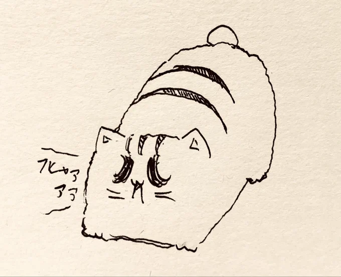 起きようか🐯 