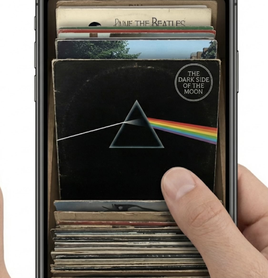 eddy boer tweet media