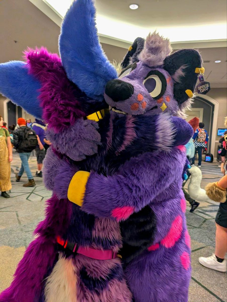 Haze the Hyena 🔜 TFF,LVFC tweet media