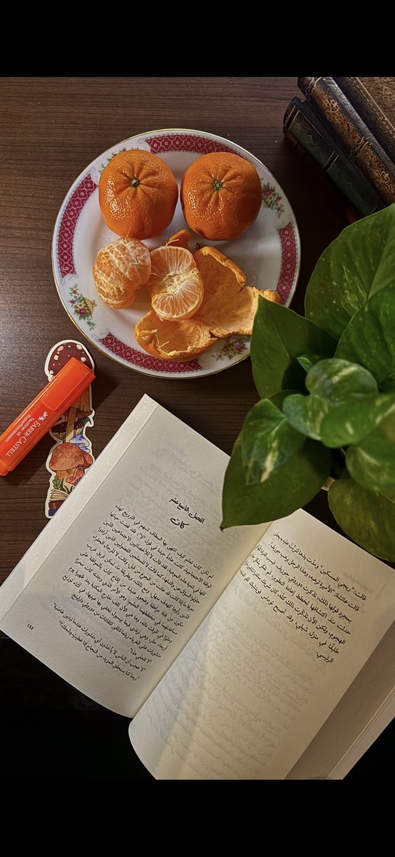 لقد عرفت منذ البدء
أني أريد أن احيا بين الكتب ♥️♥️.