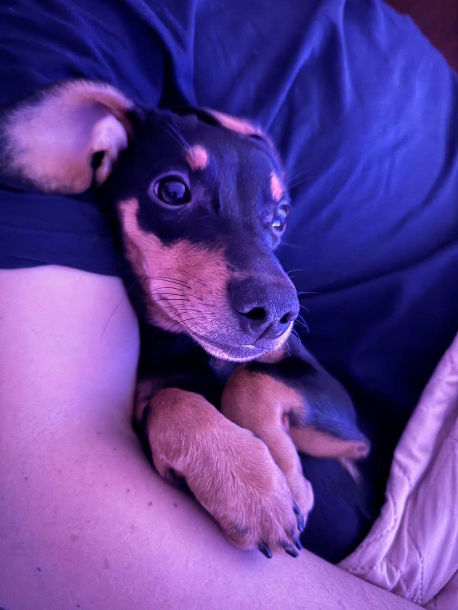 Fuckerovsky's tweet image. Надобраніч всім красивим 😌