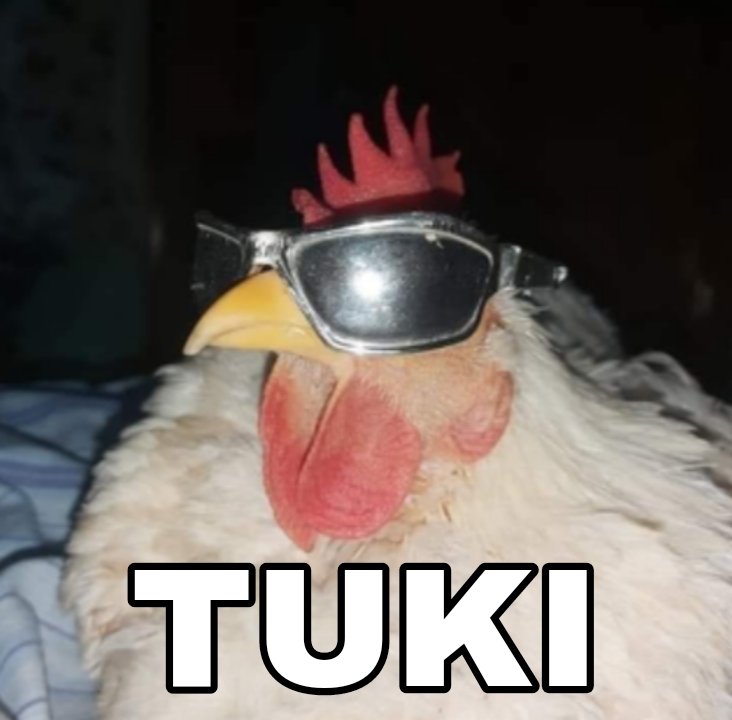 No me cagaron el finde y se prende la parri🐔♥️🐔