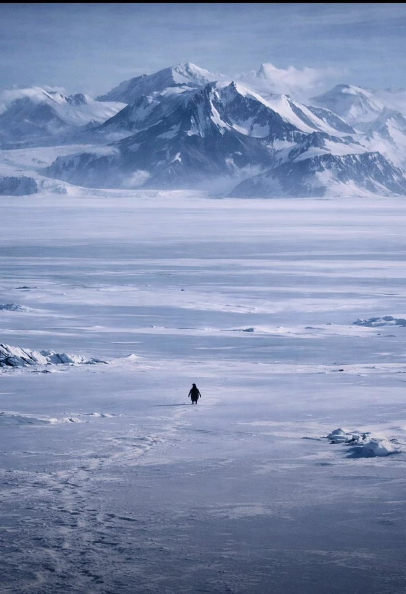 kafamizi toplamak icin yurumemiz gereken minimum yol