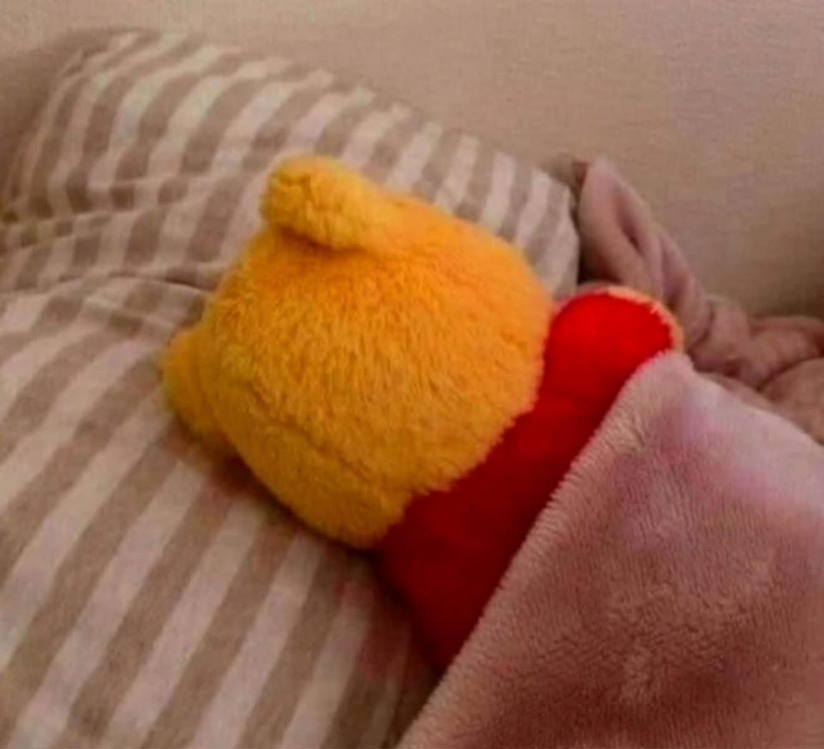 Callunc's tweet image. “Let’s watch a movie”

Me 5 minutes into the movie