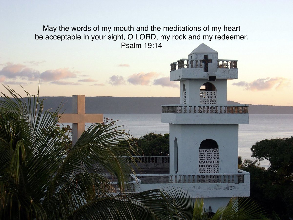 What Bob Thinks tweet media