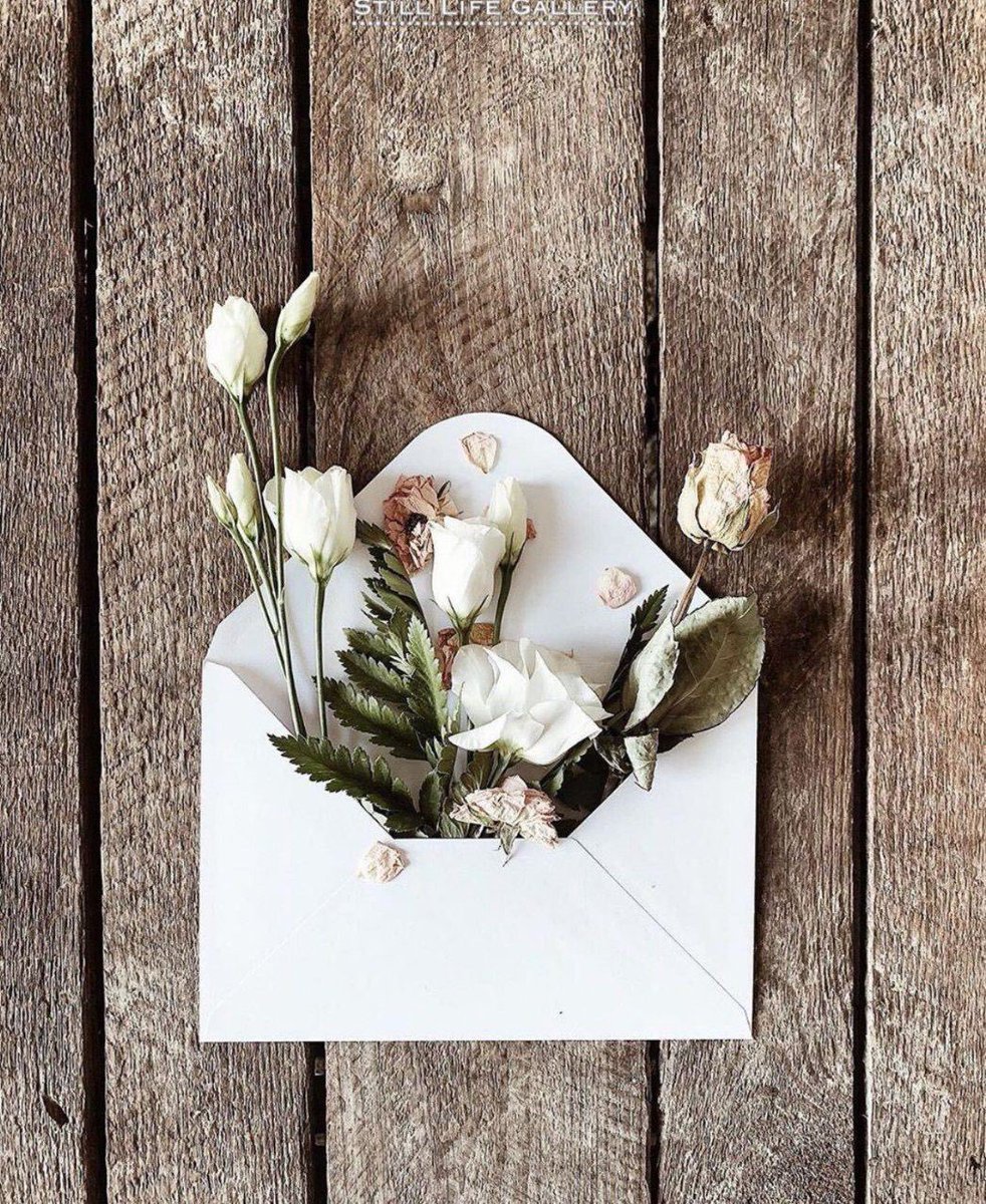 همسه tweet media