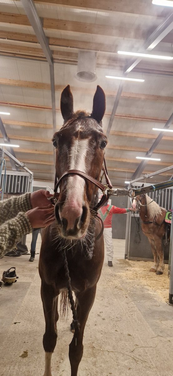 martine o. sørvik tweet media