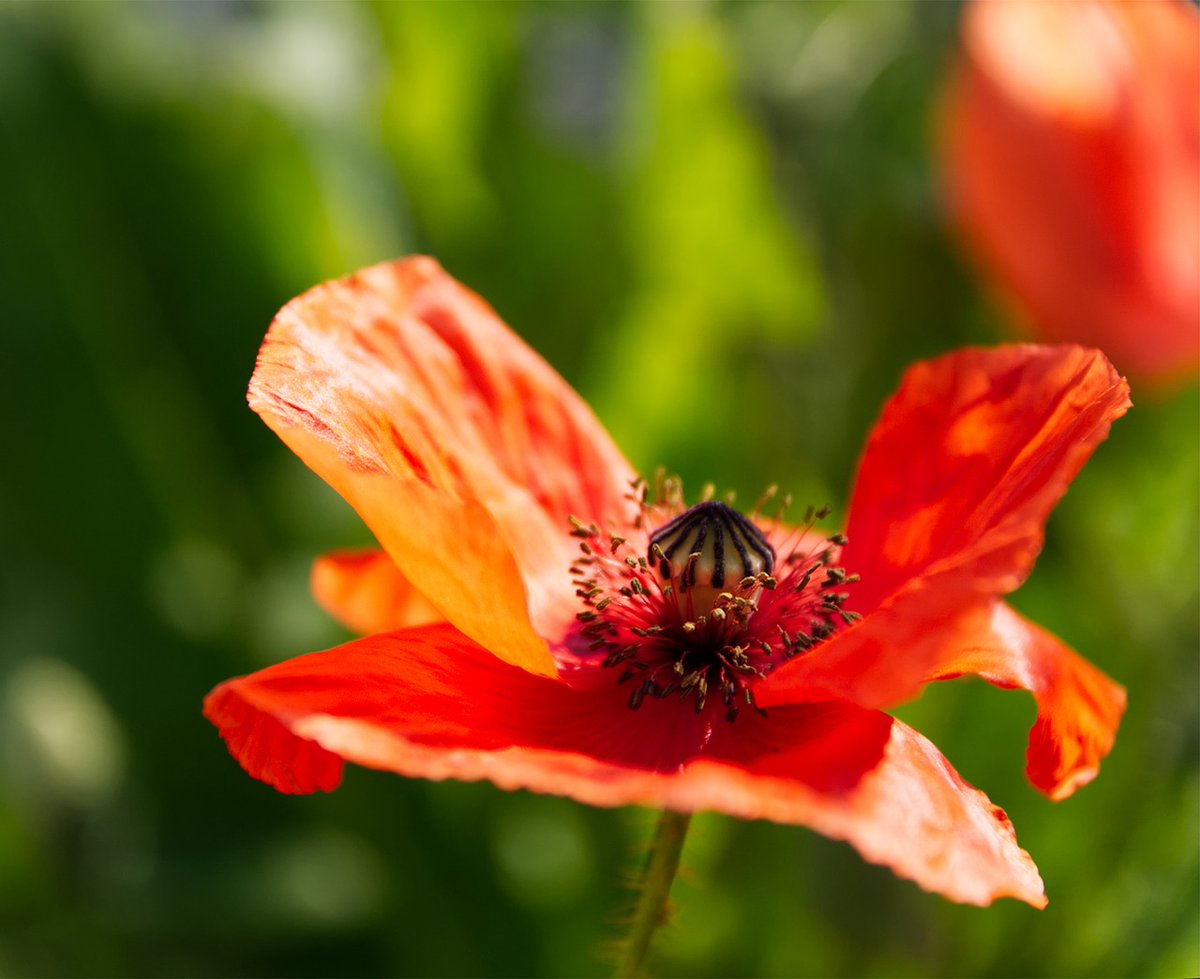 Margriet Post tweet media