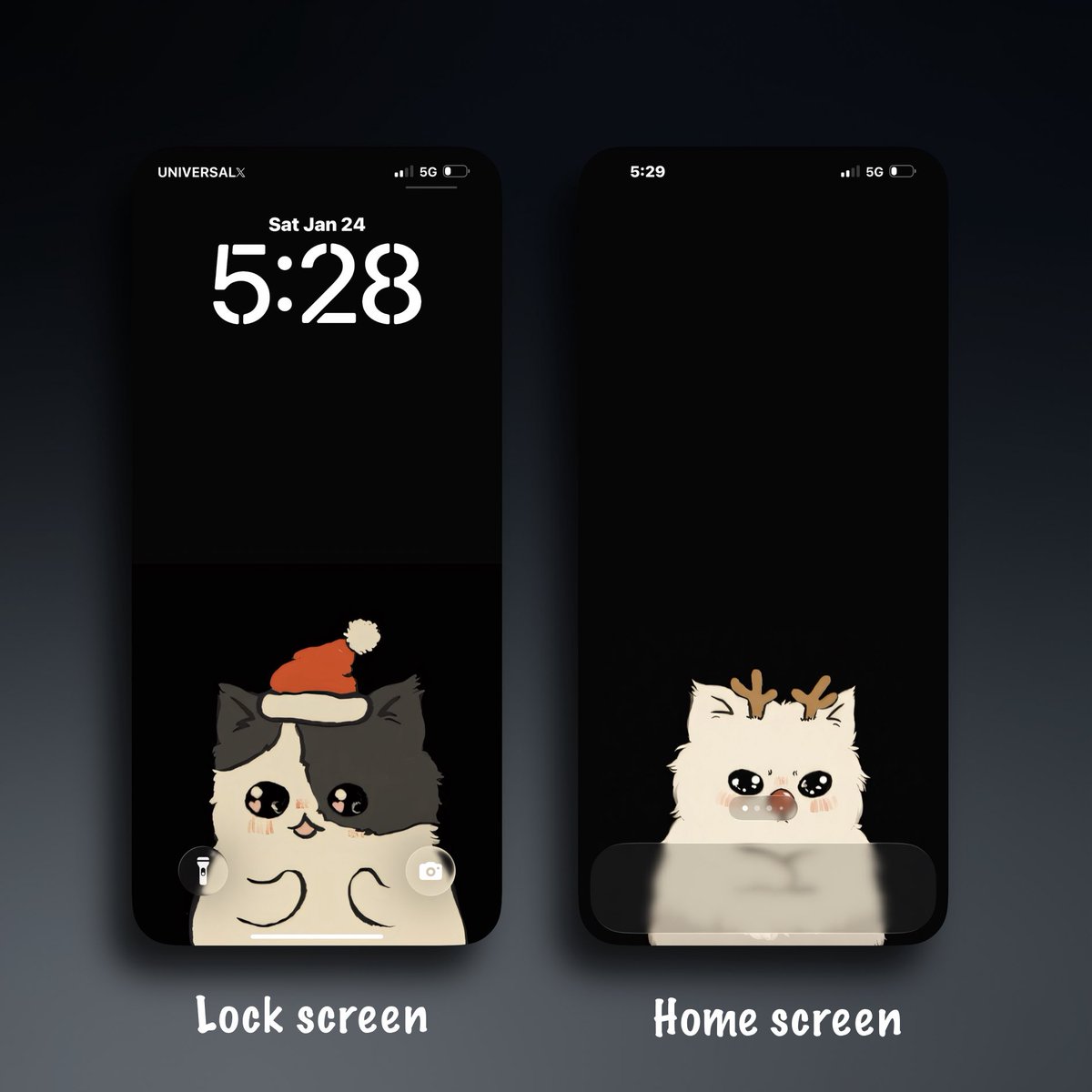 Universal4karts's tweet image. Christmas Cats 🐈