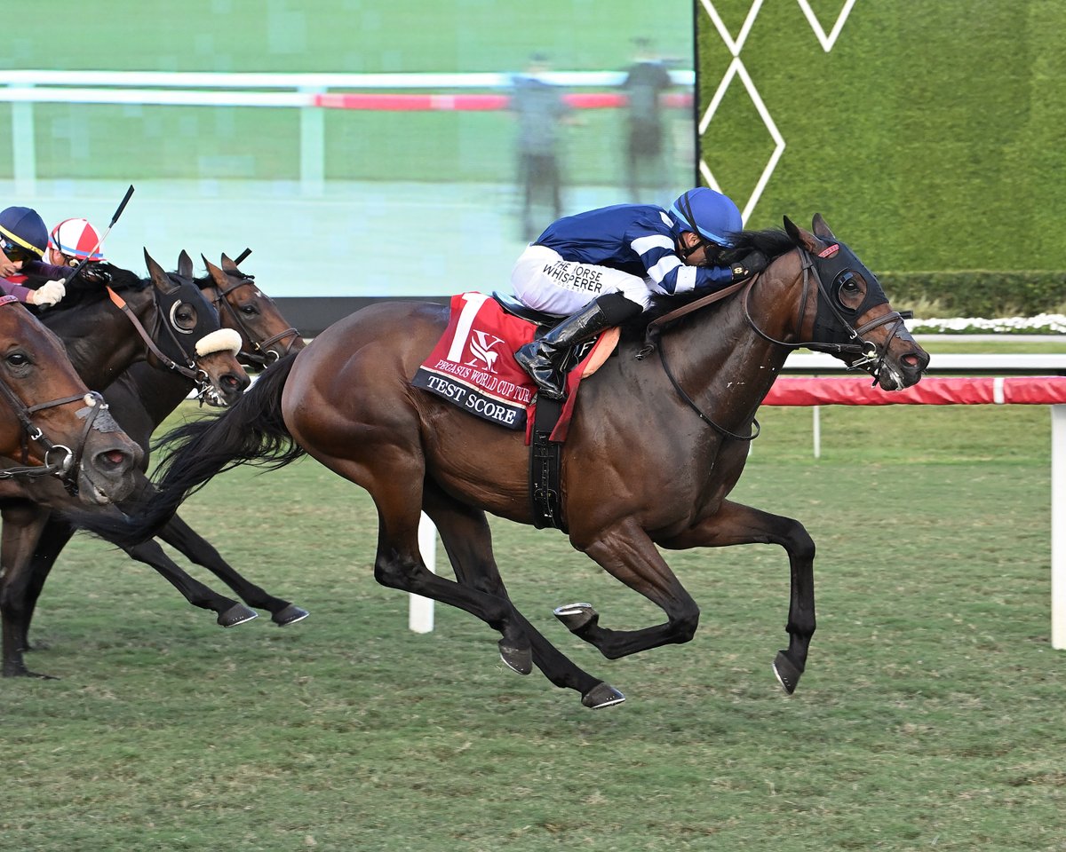 Pegasus World Cup tweet media