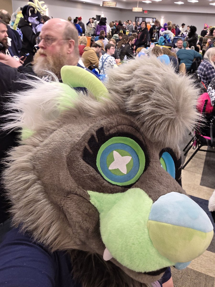 NexaFerret's tweet photo. I was allowed out #mnfurs https://t.co/64i94mWzaD