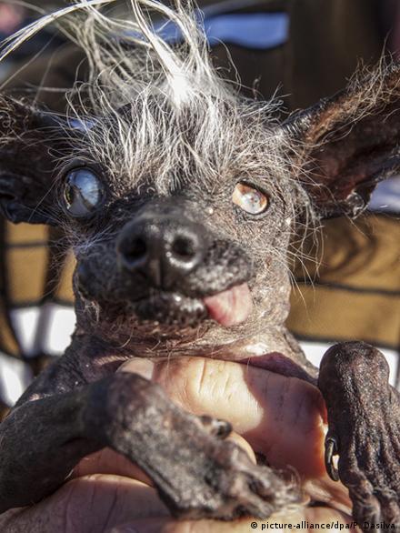 implacableCR2's tweet image. 😬

La puta madre, qué cagazo me pegué...